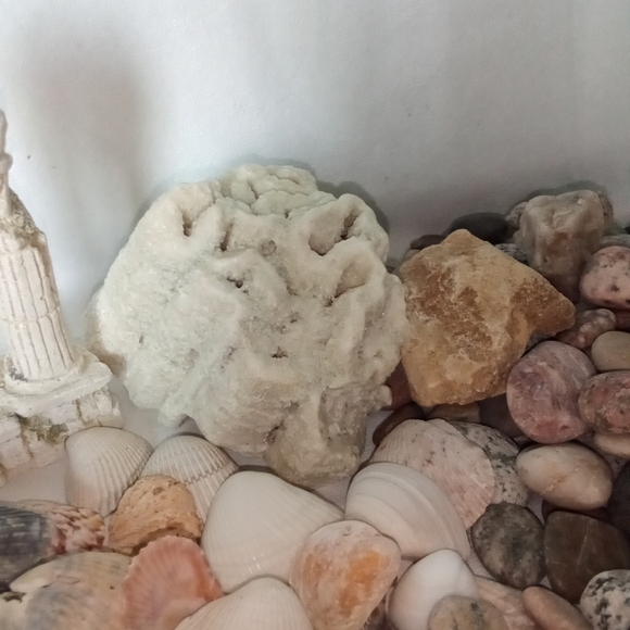 Fish Tank Accessories Sea Shells & Small Colorful Rocks Roman Column Aquarium - Picture 5 of 8